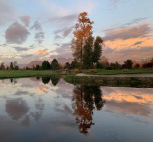 Perfect mirror image-Golf course